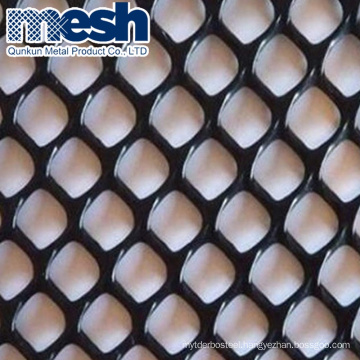 Superior Quality Hexagonal PE Plastic Flat Mesh